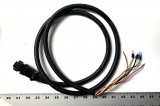 63925 Top to Bottom Cord, Male, Hardwired