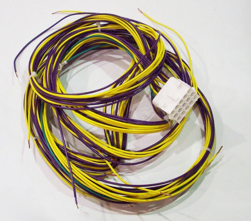 Wolff Tanning > Cables, Cords and Harnesses > Wiring Harness, Ballast