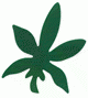 TANNING STICKER - HEMP LEAF