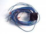 Wiring Harness, Canopy Power (3F)
