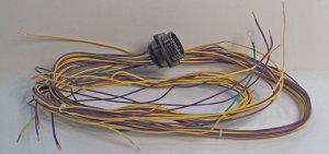 Wiring Harness, Canopy Lamp Feed (336)